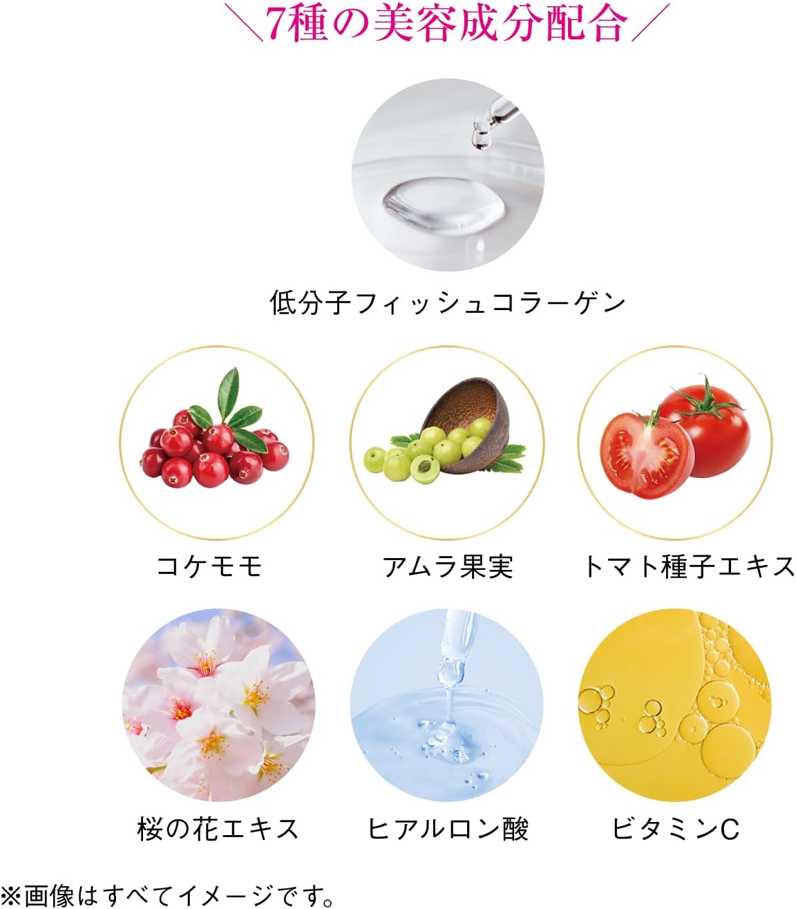 Shiseido The Collagen Powder 126g